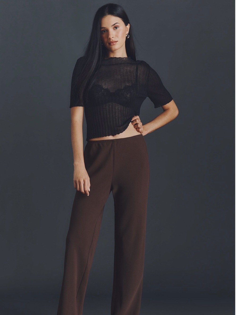Reformation Wide-Leg High-Rise Pants in Dark Brown